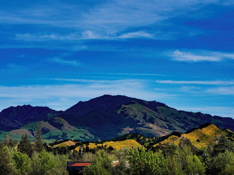 Walnut Creek Marriott image