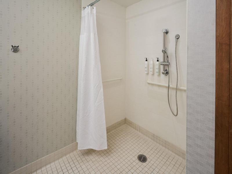 SpringHill Suites Philadelphia Airport/Ridley Park image
