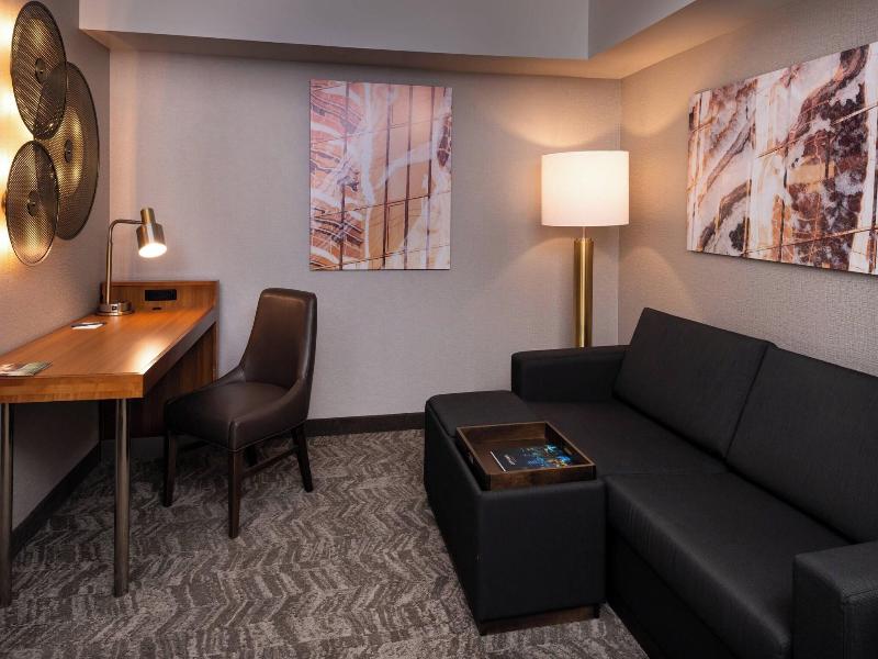 SpringHill Suites Pittsburgh North Shore image