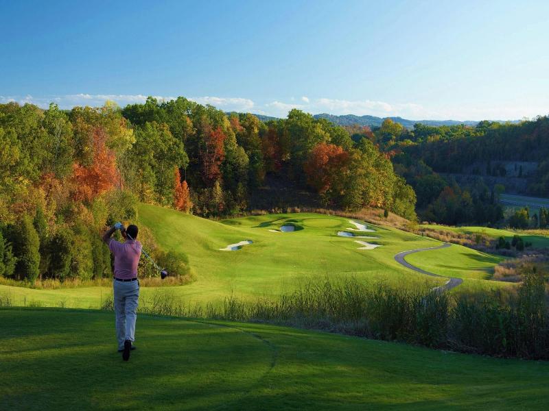 MeadowView Conference Resort & Convention Center image