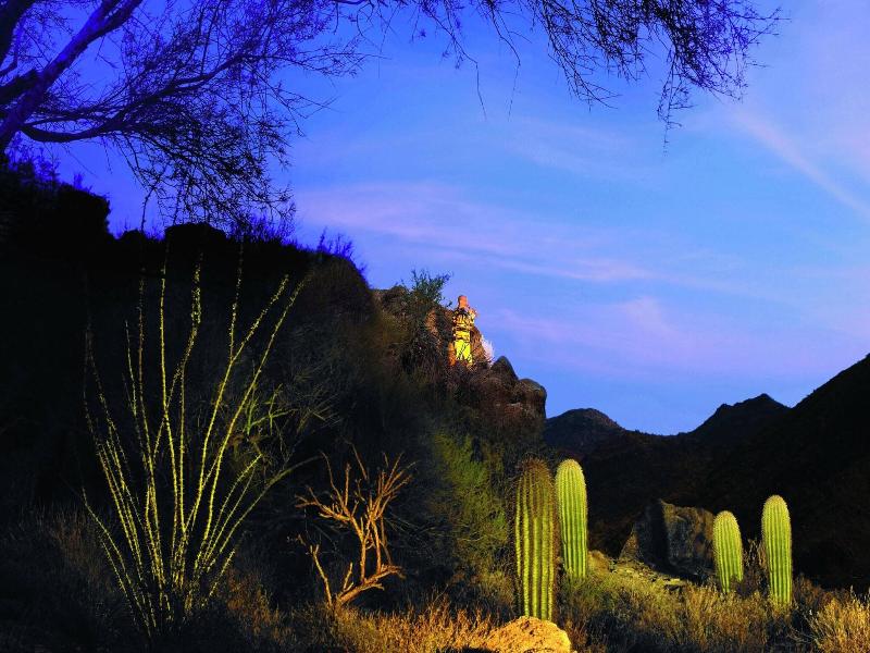 The Ritz-Carlton, Dove Mountain image