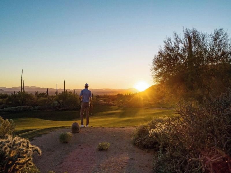 The Ritz-Carlton, Dove Mountain image