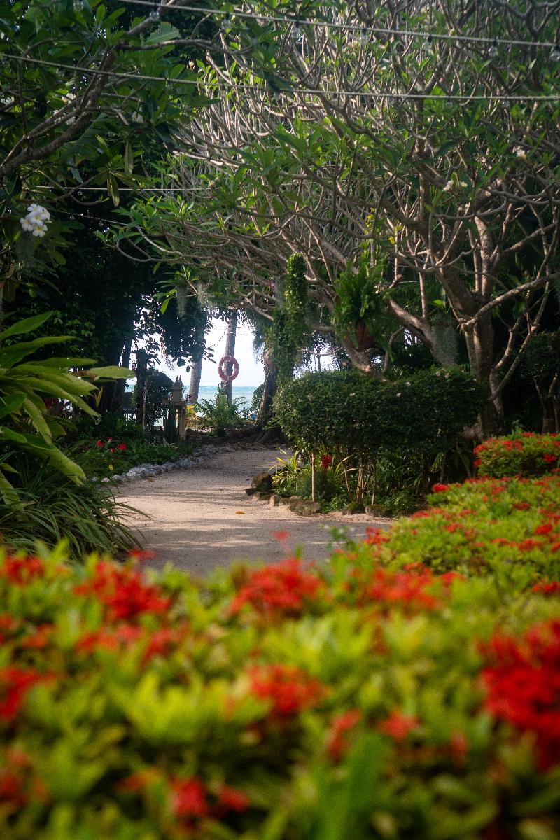 Phangan Beach Resort — general view