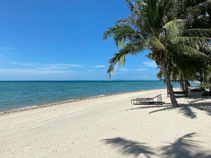 Phangan Beach Resort image