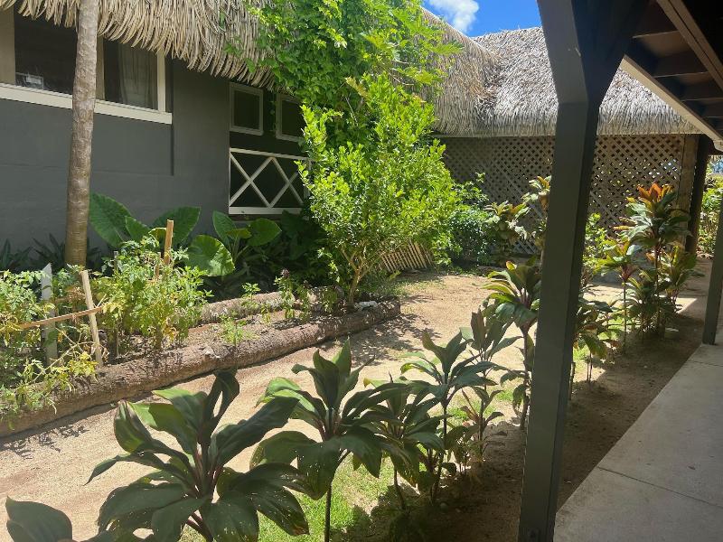 Club Raro Resort image