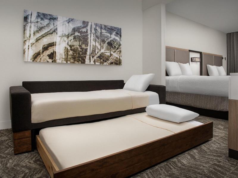 Springhill Suites Atlanta Buford/Mall Of Georgia image