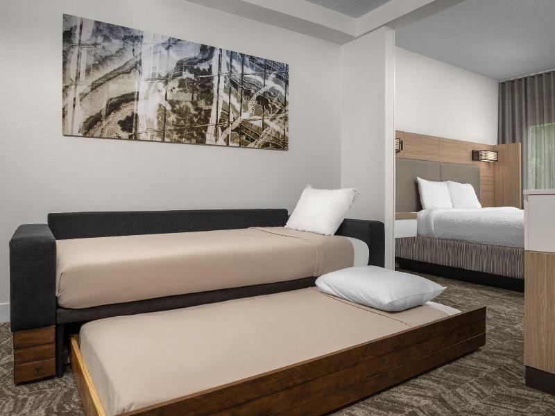 Springhill Suites Atlanta Buford/Mall Of Georgia image