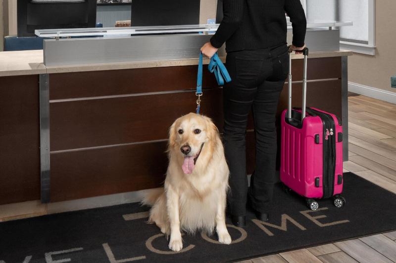 Residence Inn Boston Dedham image