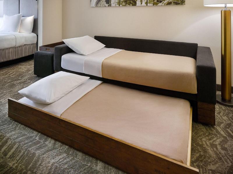 Springhill Suites Charlotte University Research Pa image