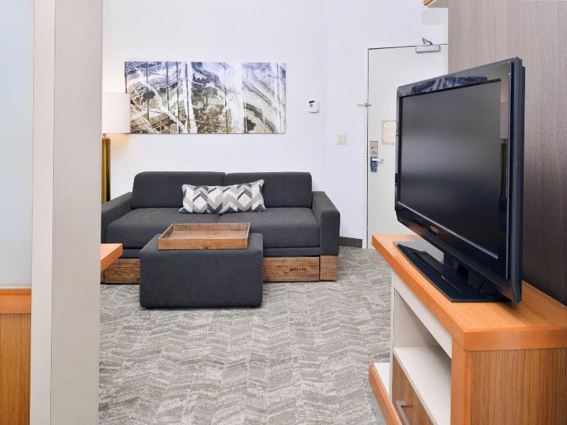 Springhill Suites Ashburn Dulles North image