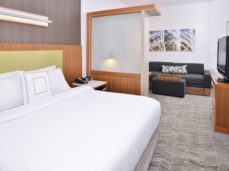 Springhill Suites Ashburn Dulles North image