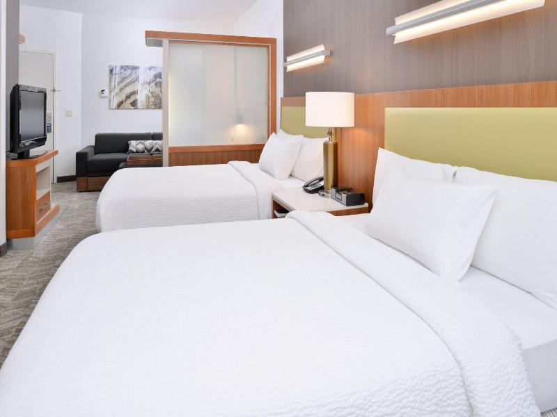 Springhill Suites Ashburn Dulles North image