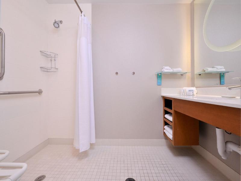 Springhill Suites Ashburn Dulles North image