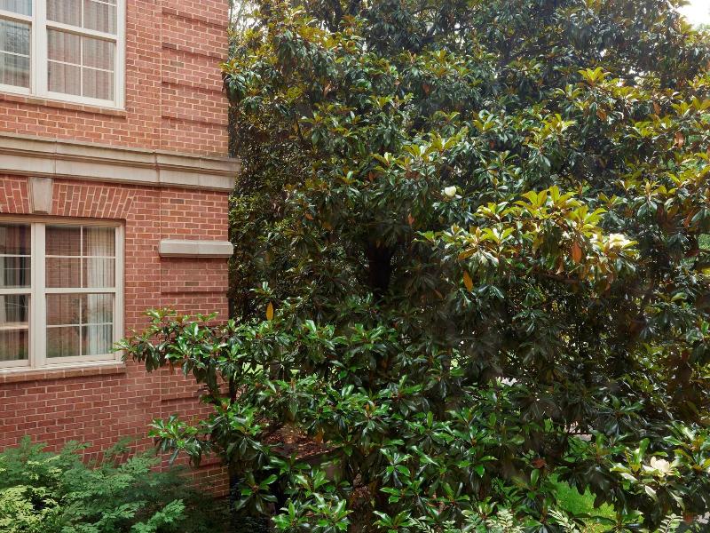 Westfields Marriott Washington Dulles image