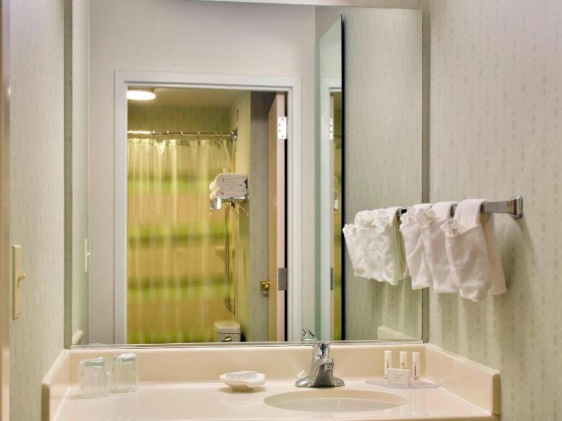 Springhill Suites Philadelphia Plymouth Meeting image