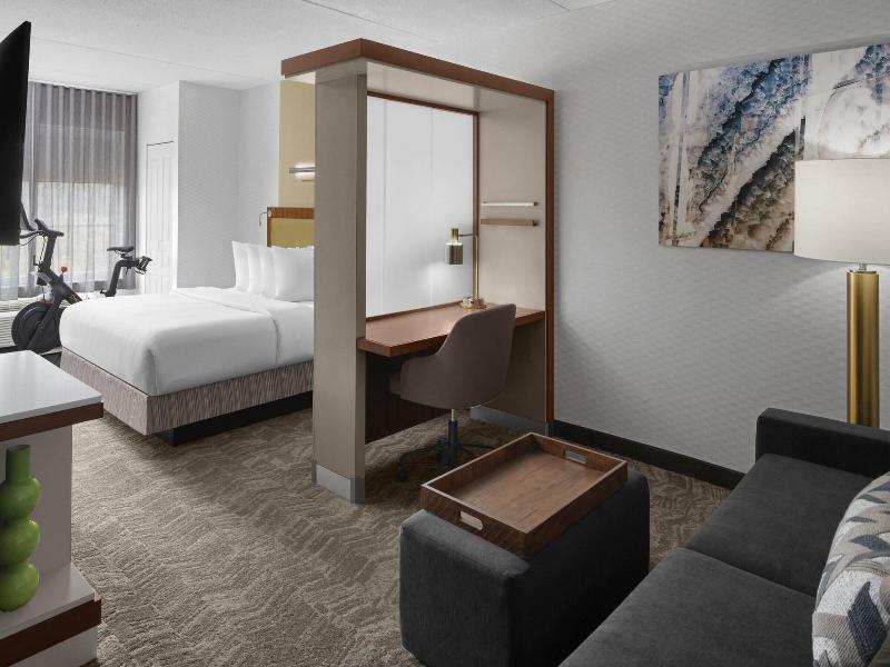 Springhill Suites Pittsburgh Southside Works image