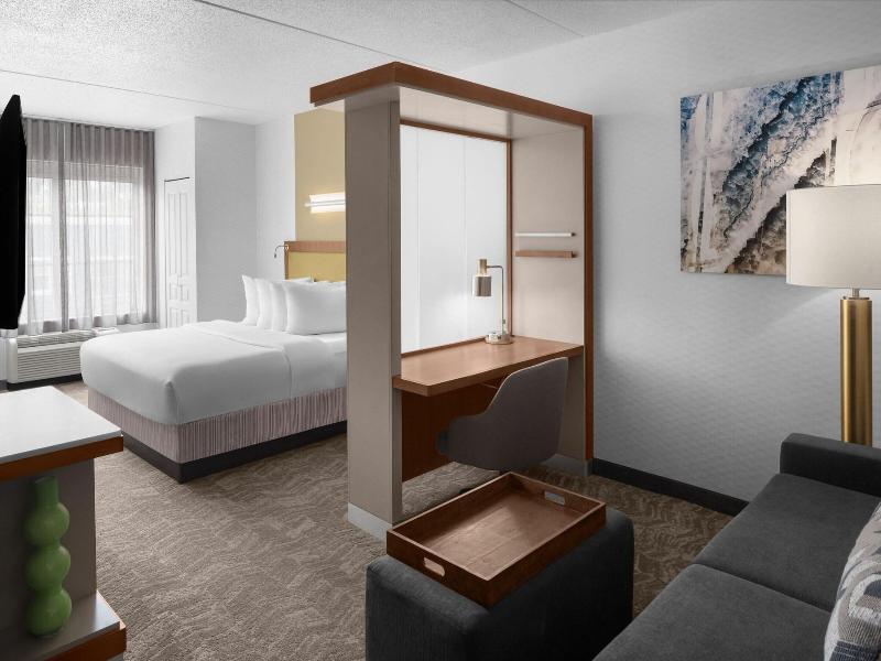 Springhill Suites Pittsburgh Southside Works image