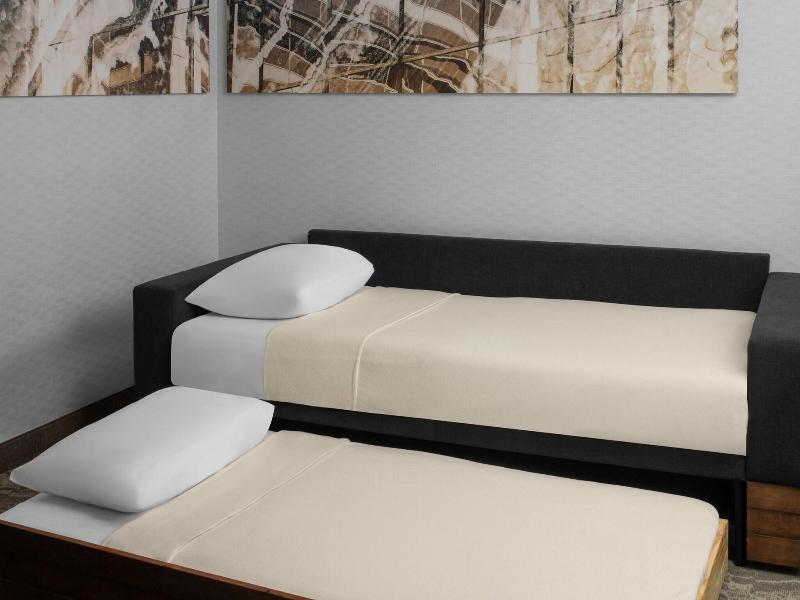 Springhill Suites Pittsburgh Southside Works image
