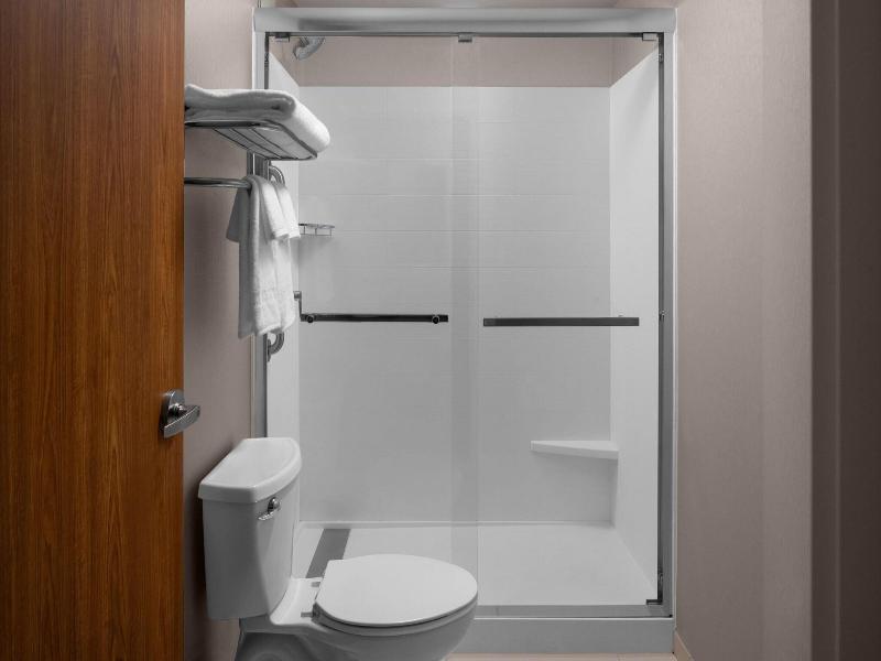 Springhill Suites Pittsburgh Southside Works image