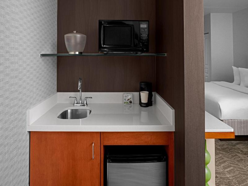 Springhill Suites Pittsburgh Southside Works image