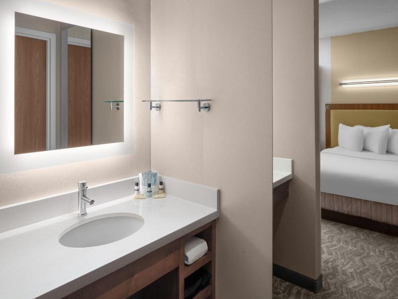 Springhill Suites Pittsburgh Southside Works image