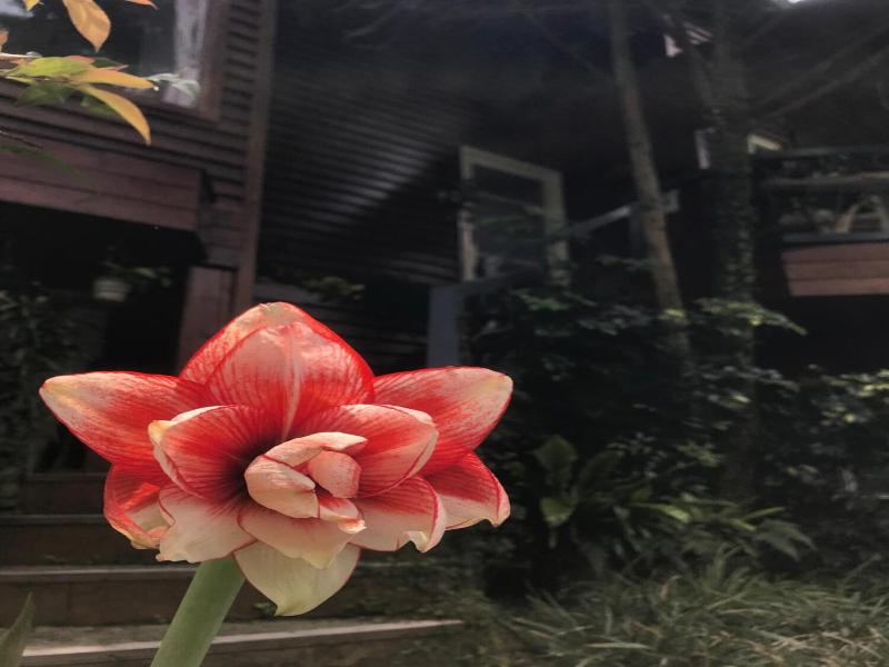 Fuyam Tourist Home image