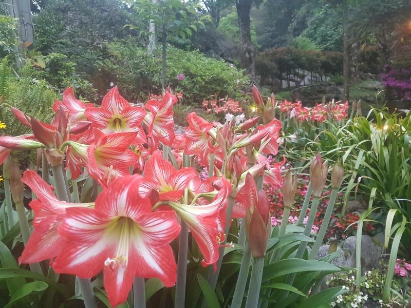 Fuyam Tourist Home image