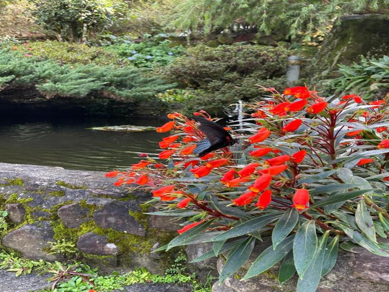 Fuyam Tourist Home image
