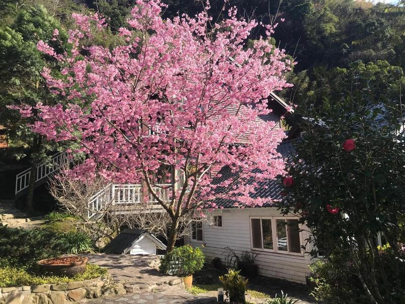Fuyam Tourist Home image