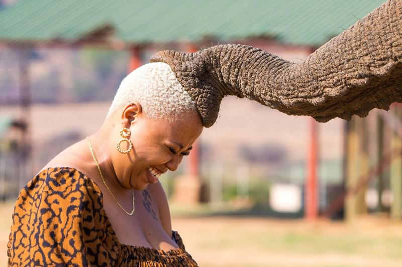 Askari Game Lodge and Spa image