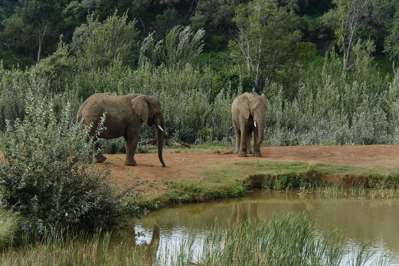 Askari Game Lodge and Spa image