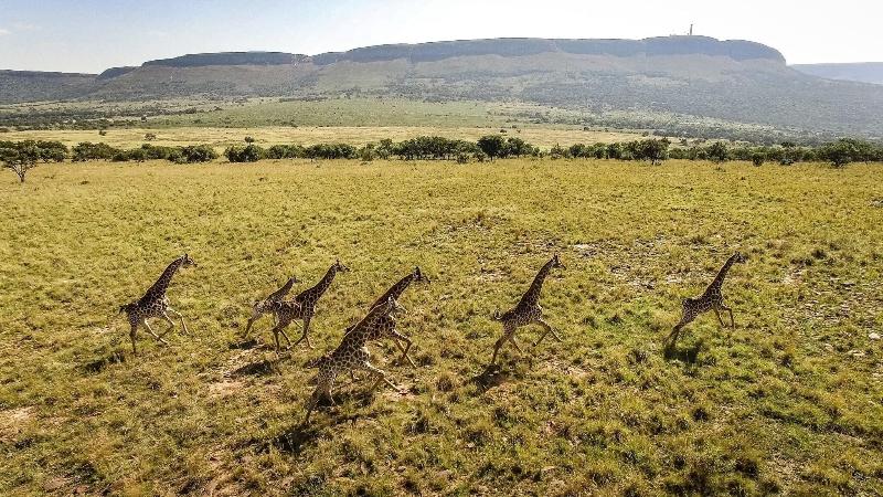 Askari Game Lodge and Spa image