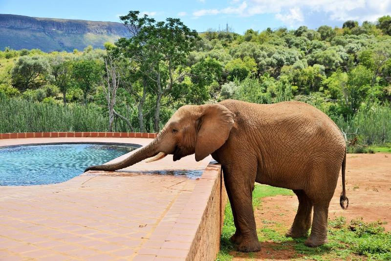 Askari Game Lodge and Spa image