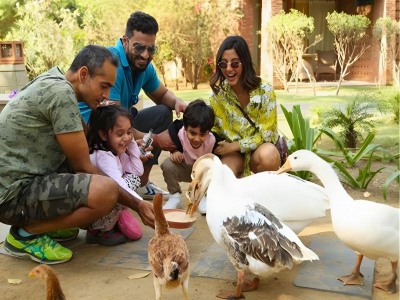 The Westin Sohnagurgaon Resort  Spa image