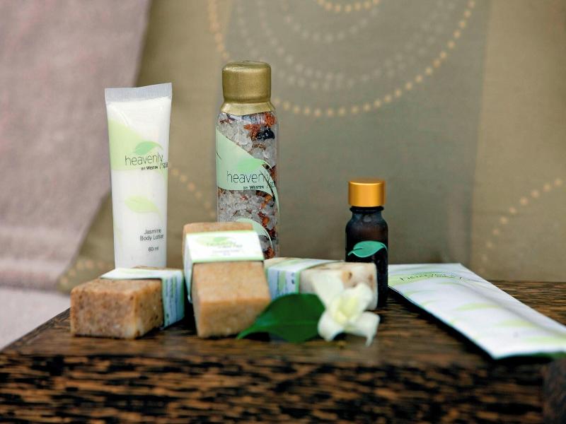 The Westin Sohnagurgaon Resort  Spa image