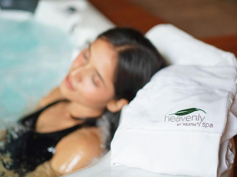 The Westin Sohnagurgaon Resort  Spa image