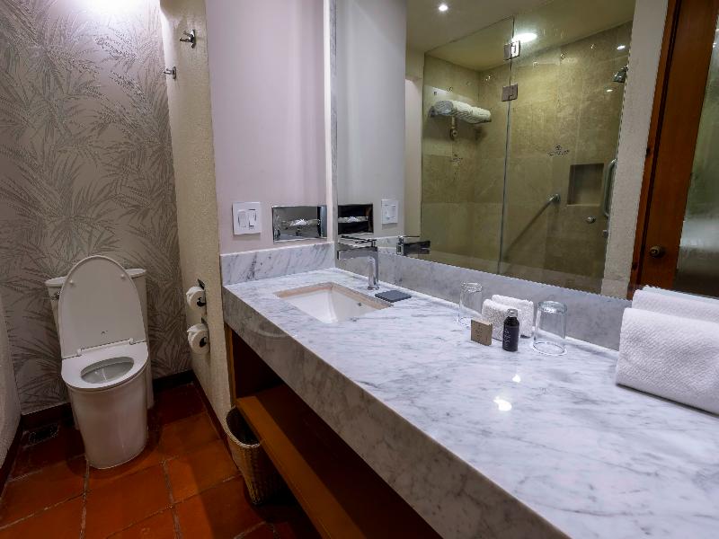 Club Regina Puerto Vallarta managed by Accor image