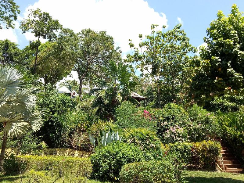 Le Passetemps image
