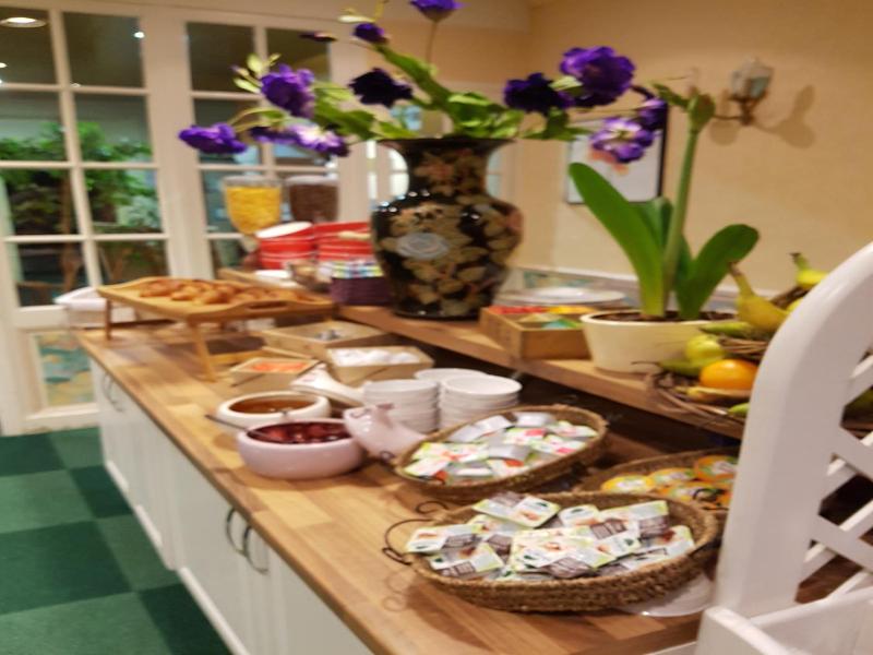 Brit Hotel Les Camelias image