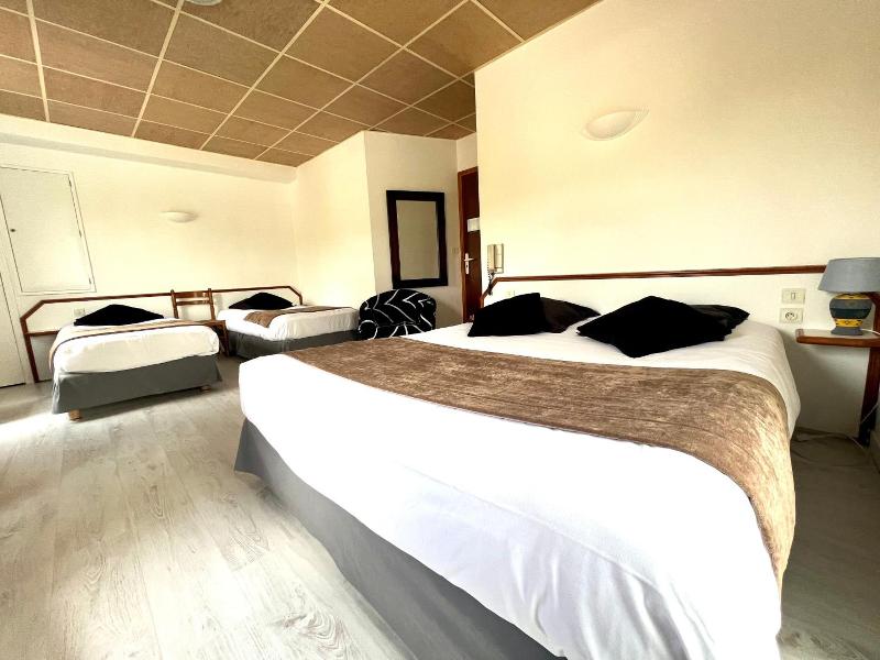 Brit Hotel Les Camelias image