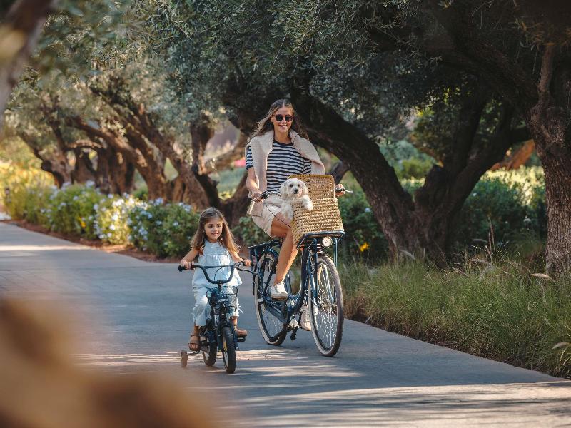 Fairmont Royal Palm Marrakech image