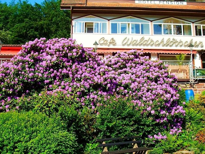 Waldschlösschen image
