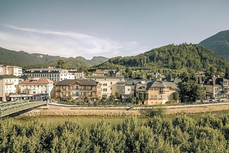 Goldener Ochs image