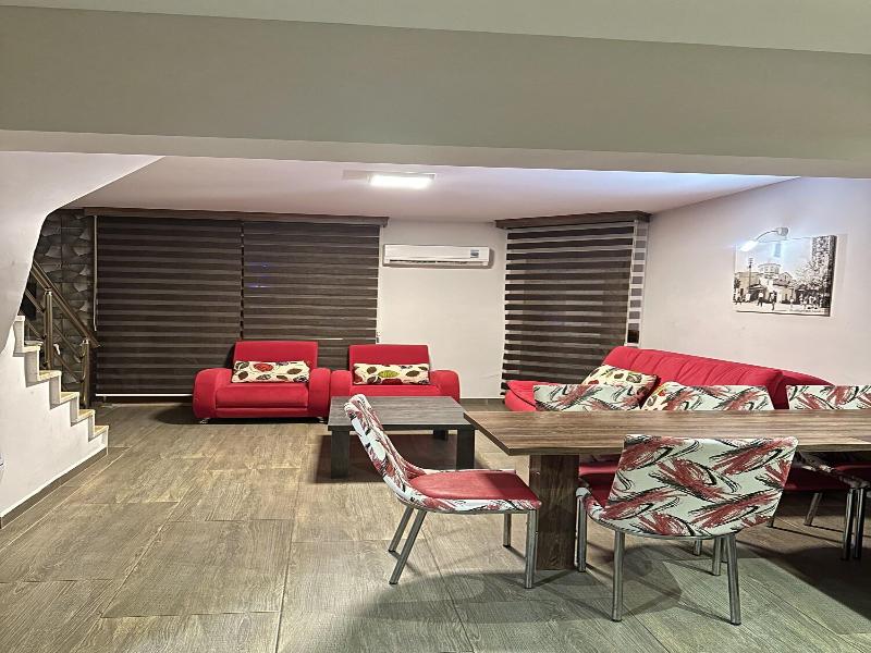 Dolphin Apart image