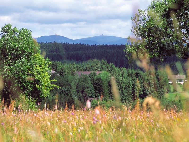 Sonneneck image