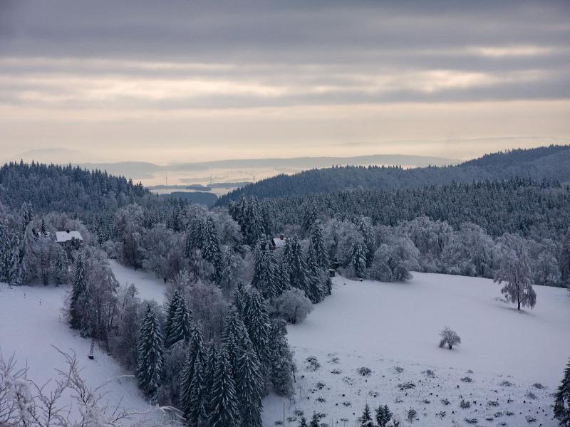 Sonneneck image