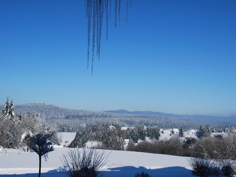 Sonneneck image