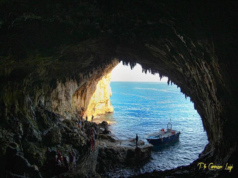 Hotel Degli Ulivi image