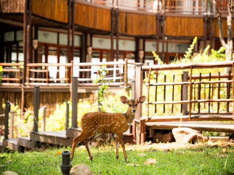 Cresta Mowana Safari Resort & Spa — general view