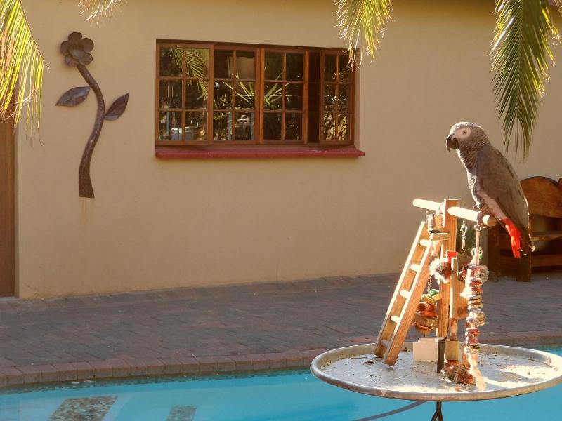 A Cherry Lane Self Catering and B&B image